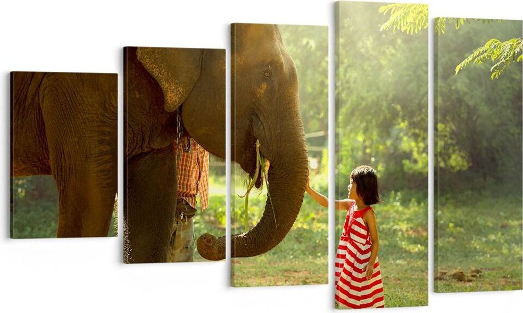 Bild auf Leinwand - Leinwandbild - Elefant Tier - 100x60cm - Wand Bild - Wanddeko - Wandbilder - Leinwanddruck - Bilder - Kunstdruck - Wanddekorati...