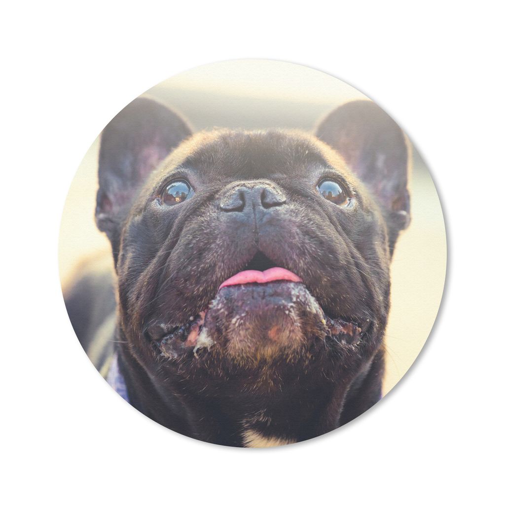 MuchoWow Mauspad Mousepad Französische Bulldogge - Schwarz - Sonne 40x40 cm - Mousepads - Maus Mat - Pad - Mausunterlage - Schreibtisch Accessoires