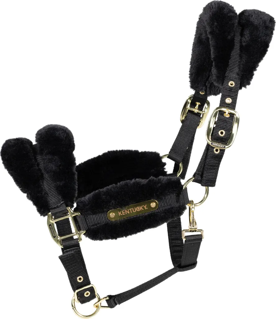 Licol Kentucky Nylon Soft Peau de Mouton Noir : Confort et Résistance