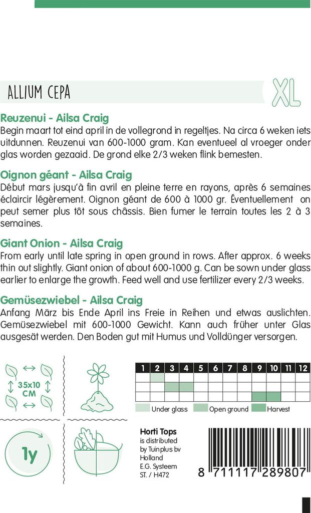 Gemüsezwiebel Ailsa Craig | Zwiebelsamen von Hortitops