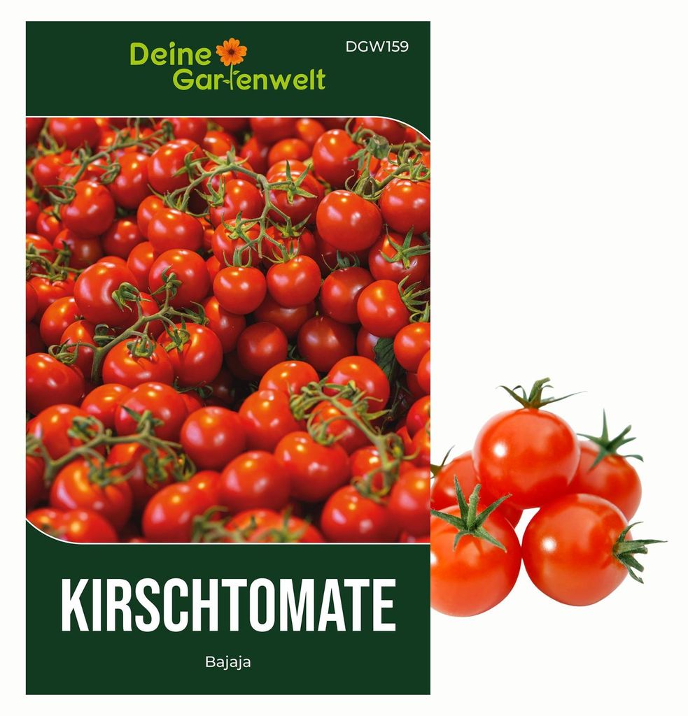 Kirschtomate Bajaja Samen - Solanum lycopersicum - Produktbild 