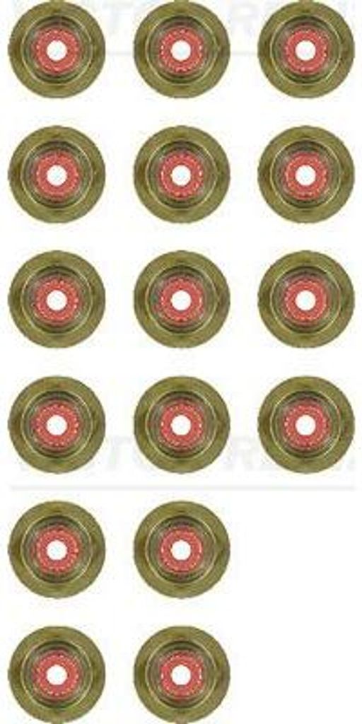 VICTOR REINZ 12-34264-01 Dichtungssatz, Ventilschaft OE 71739347(16x) kompatibel mit Alf. 156, Alero, Captiva, HHR, Malibu, Croma, Antara, Astra G,...