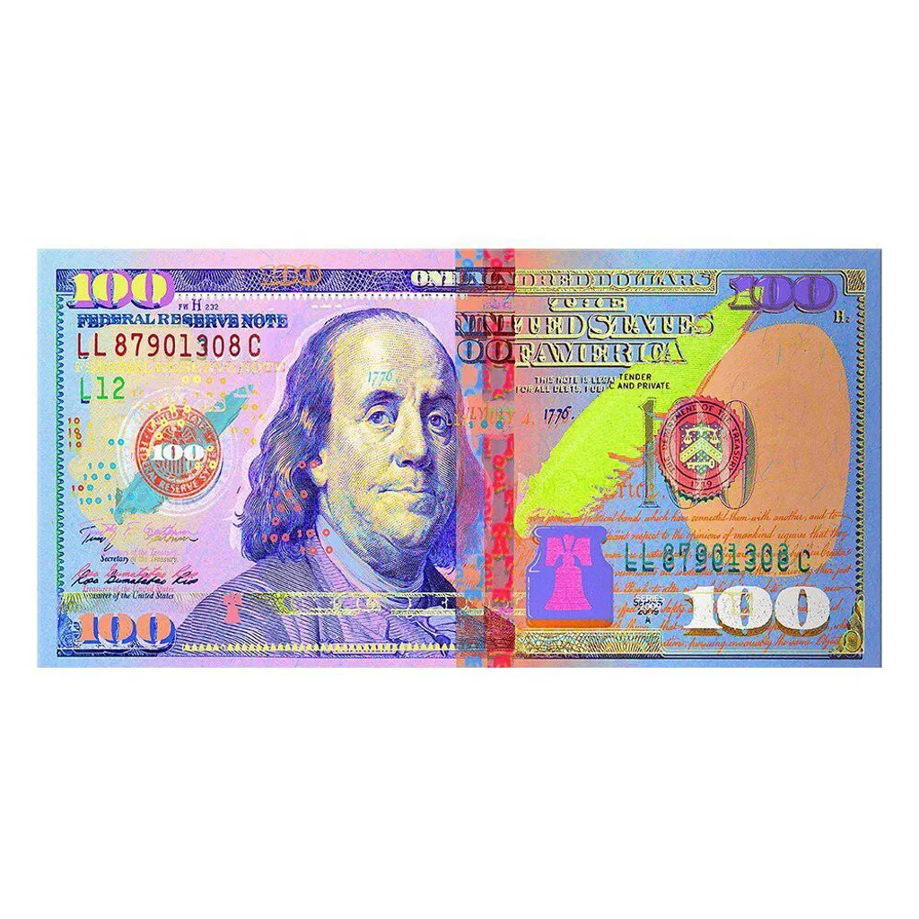 Tableau Moderne Poster en Toile 100 Dollar - Impression 50x100 cm