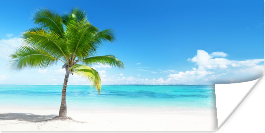 MuchoWow Poster Palme - Strand - Meer - Sommer 40x20 cm - Poster für die Wand - Poster Schlafzimmer