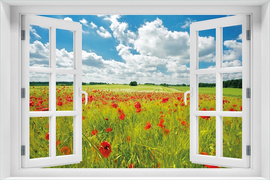 Wallario Poster mit Fenster-Illusion: Grüne Wiese mit Mohnblumen, Größe: 61 x 91,5 cm (Maxiposter)