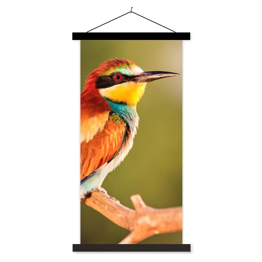 MuchoWow Textilposter Vögel - Bienenfresser - Regenbogen - Tiere 40x80 cm mit schwarzem Rahmen - Wandemalerei