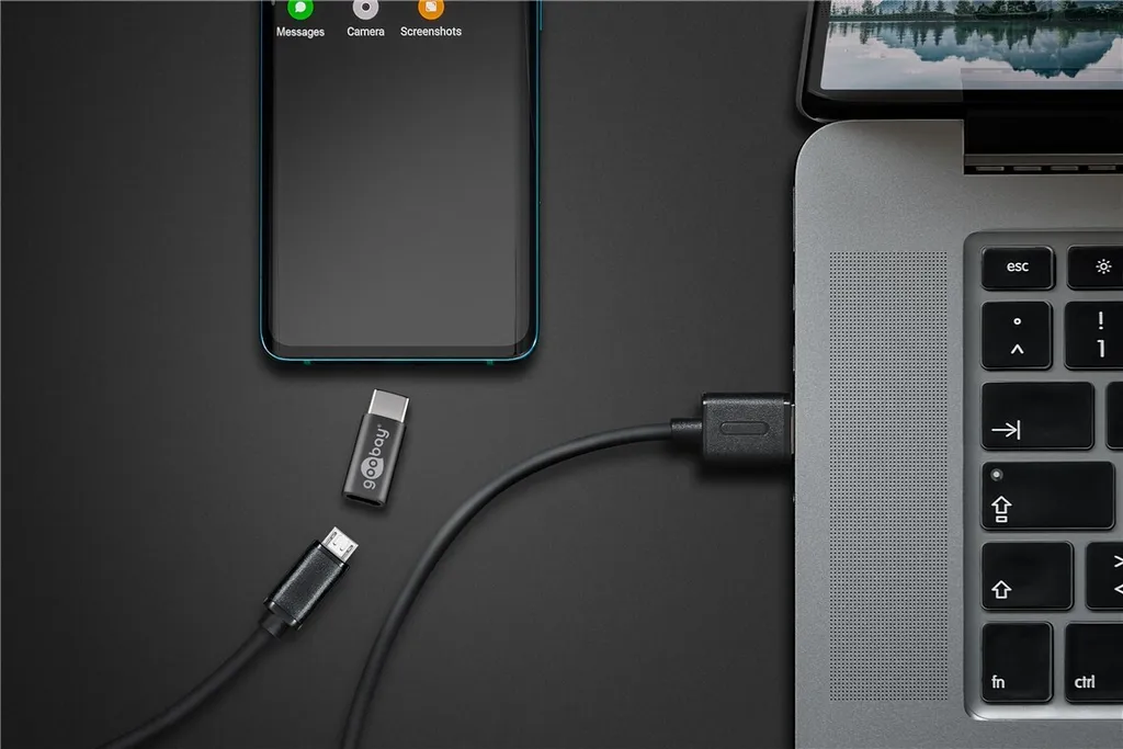 Convertisseur USB-C vers Micro-USB 2.0 Gris pour Charge et Sync PC - 4