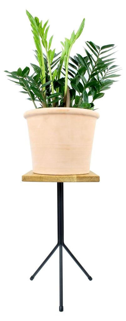 TRIPOD Design Tischgestell Dreifuß Beistelltisch skandinavisch Couch Kaffeetisch Dreibein Stuhl Sitzhocker Metall massiv 12mm Rundstab (H43cm - Co...