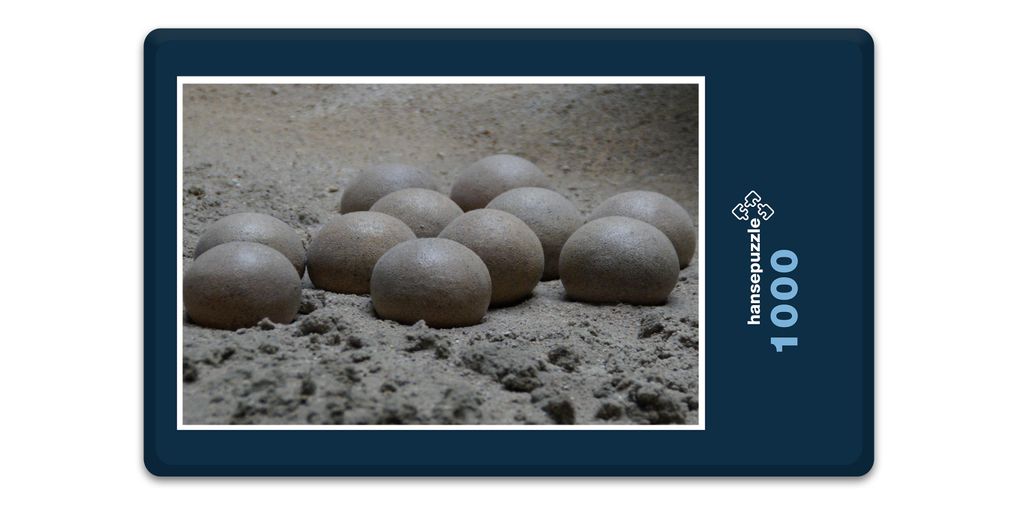 hansepuzzle 11332 - Sand-Nest Puzzle, 1000 Teile, Orte, 60,0 x 46,0cm mit hochwertiger Aufbewahrung, Kartonbox und wiederverschließbarem Beutel