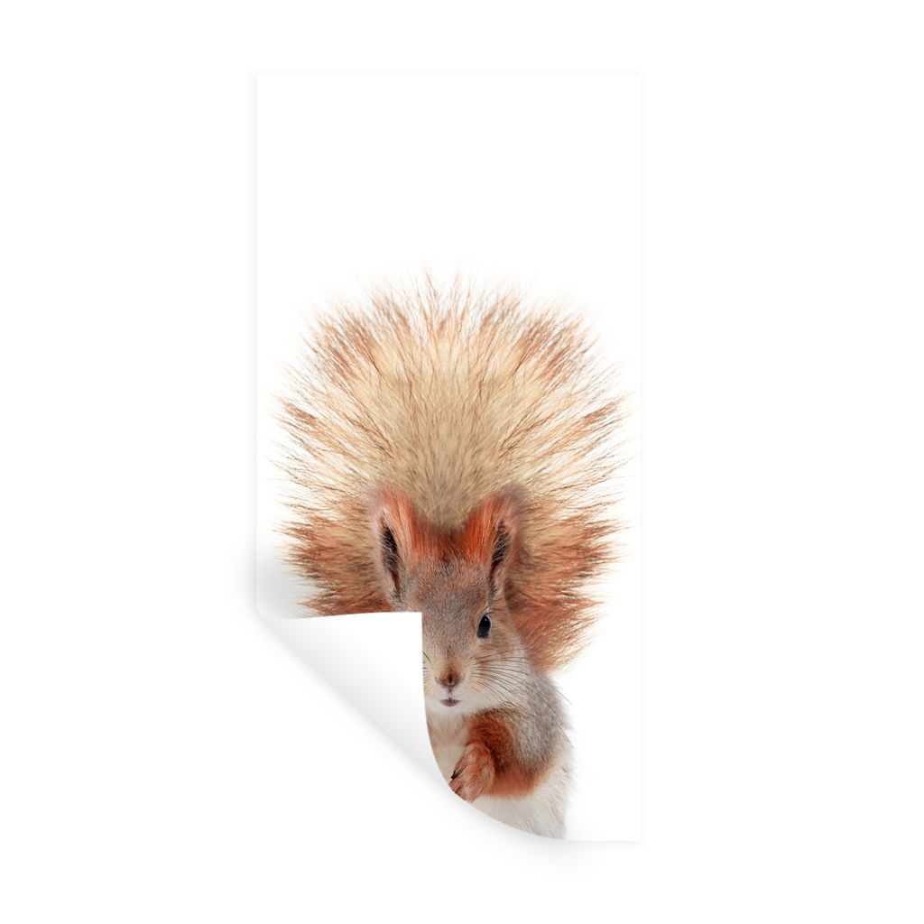 MuchoWow Wandtattoo Wandsticker Wandaufkleber Eichhörnchen - Tiere - Natur - Orange - Weiß 20x40 cm Selbstklebend und Repositionierbar - Selbst...