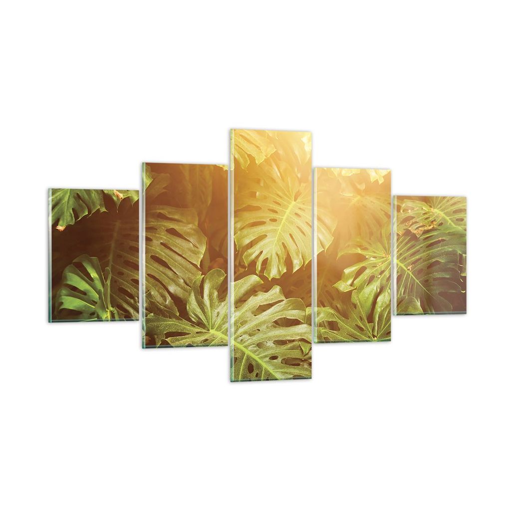 Bilder auf glas - 5 Teile - Blätter Monstera Licht - 125x70cm - Glasbilder - Wandbilder - Bilder - zum Aufhängen bereit - Wanddekoration aus Glas...