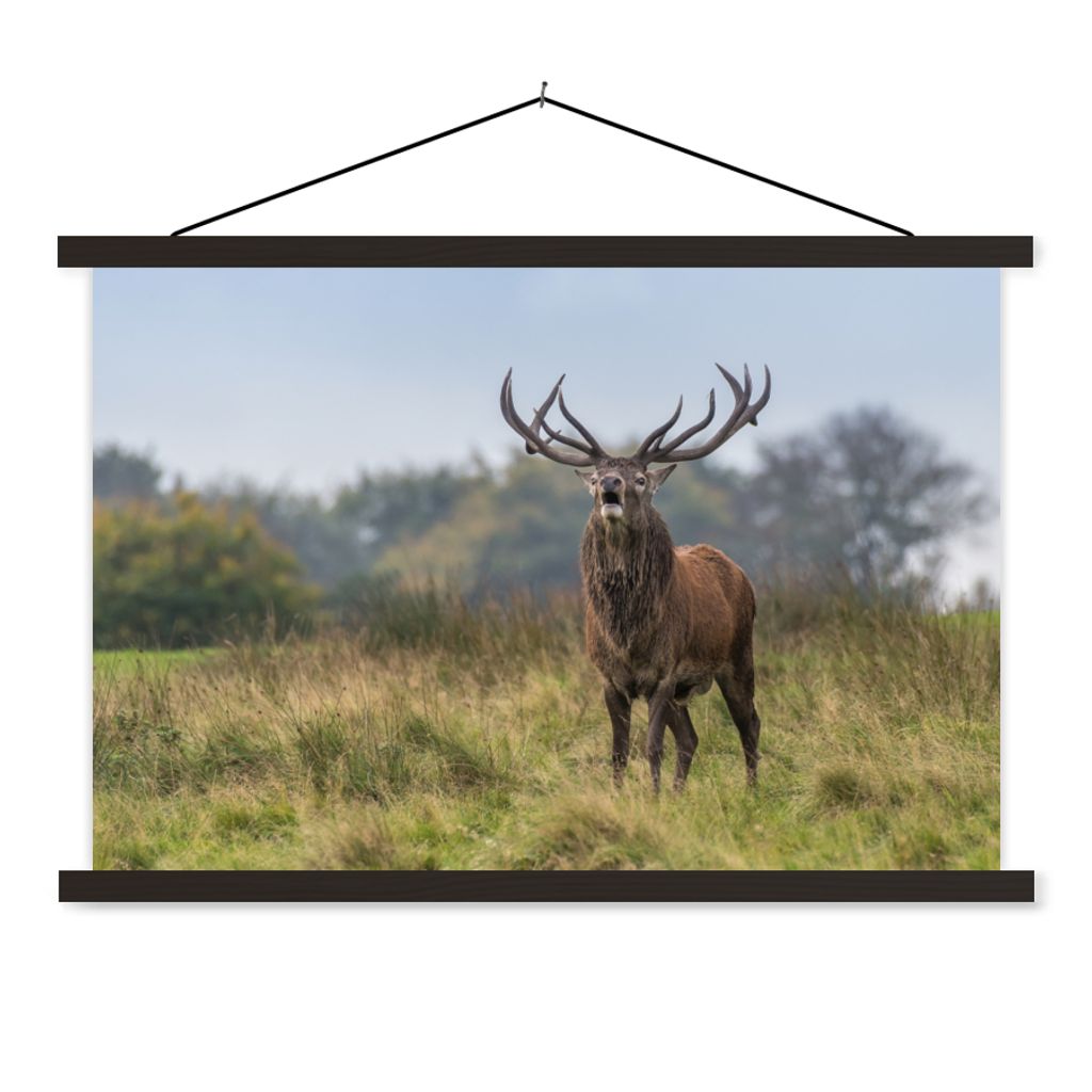 MuchoWow Textilposter Hirsche - Geweihe - Gras 120x80 cm mit schwarzem Rahmen - Wanddeko