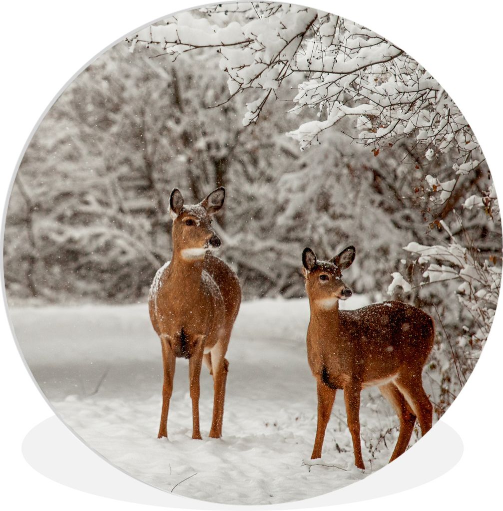 MuchoWow Rundes Wandbild - Runde Bilder Hirsche - Schnee - Bäume Ø 30 cm Kreis Wanddekoration Kunststoff - Wandkreis - Wandschmuck - Schlafzimm...