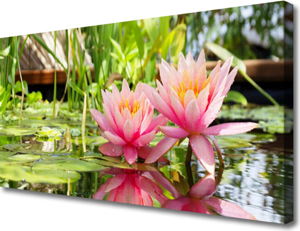 Tulup Leinwand-Bilder 100x50 Wandbild Canvas Kunstdruck Blumen Pflanzen