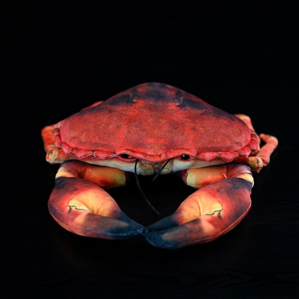 Krebs Kuscheltier 26 cm – Realistisches Plüschtier Meerestier Stofftier