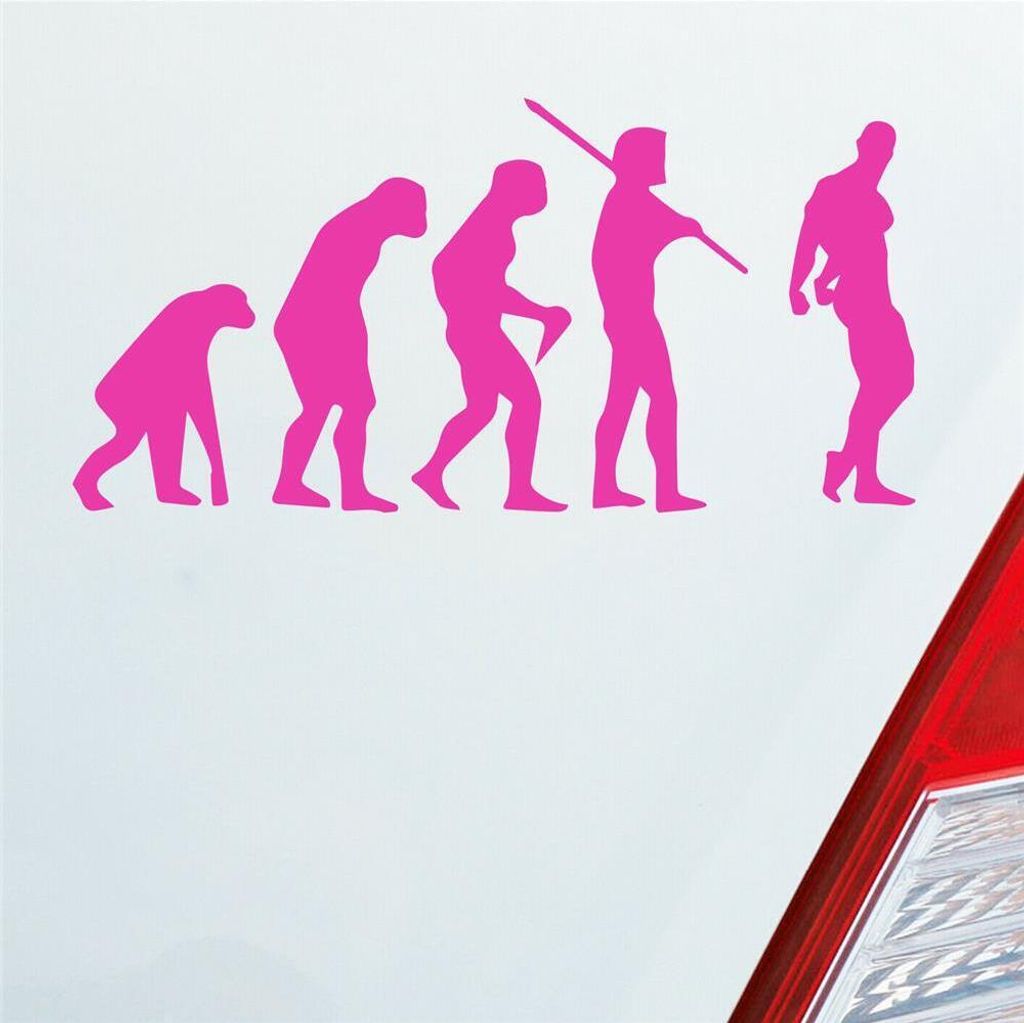 Auto Aufkleber Evolution Fitness Sport Bodybuilding 15x7,5 cm Pink Sticker Heckscheibenaufkleber