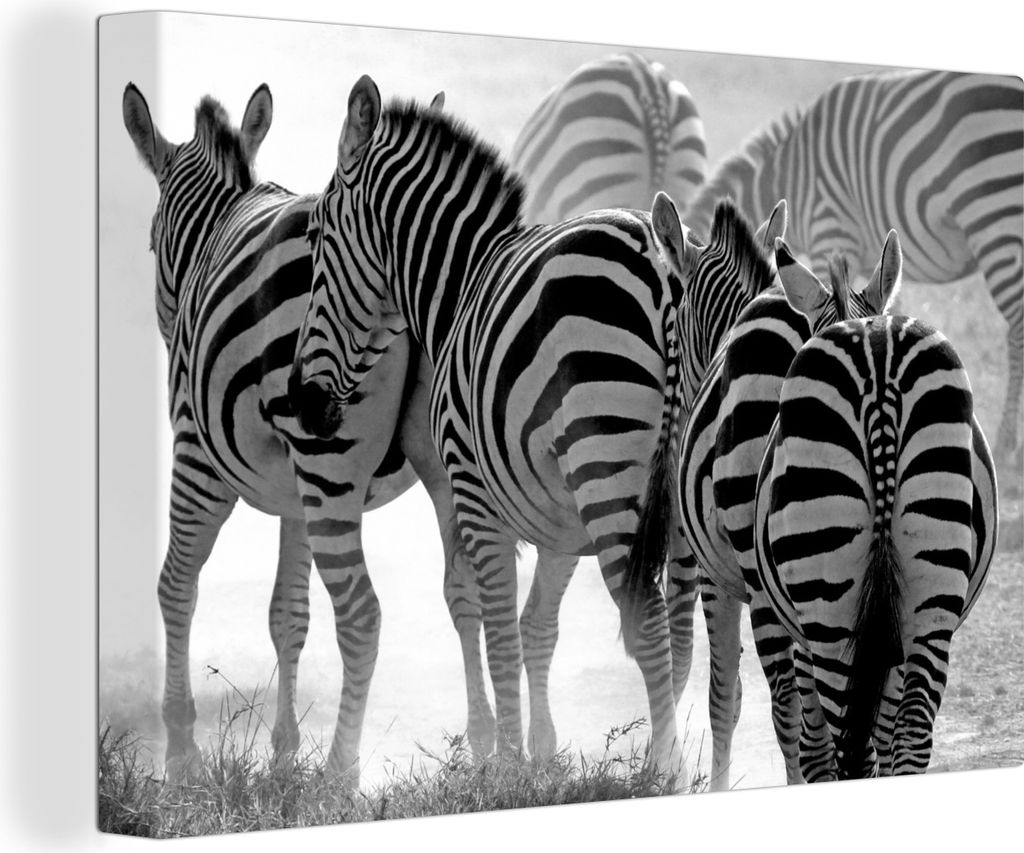 OneMillionCanvasses - Leinwandbilder - 150x100 cm, Laufende Zebras, Wandbilder Kunstdruck Wanddekoration