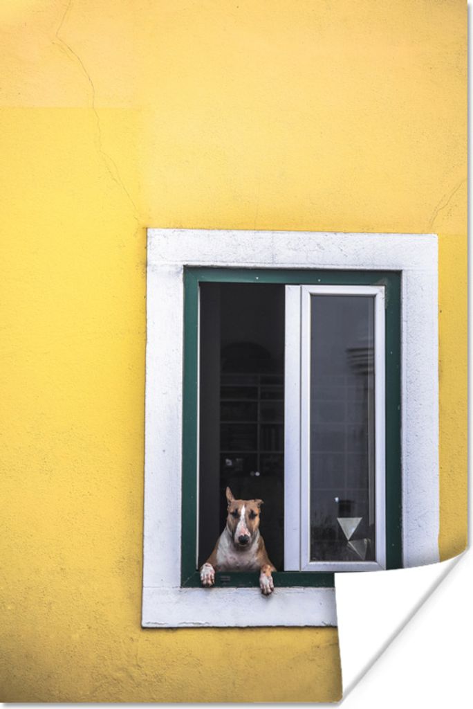 MuchoWow Poster Brauner Hund aus dem Fenster 120x180 cm - Kunstposter