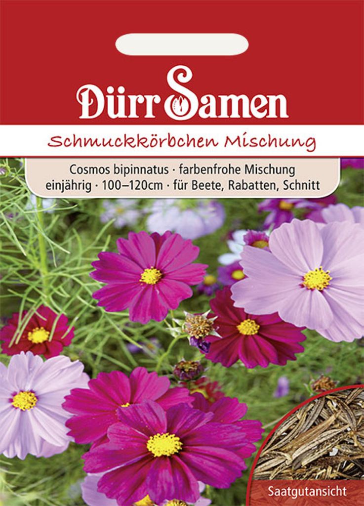 Dürr-Samen - Cosmea Prachtmischung einjährig 100-120 cm - Produktbild 