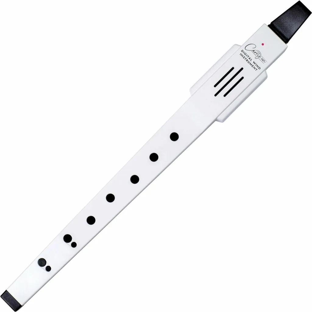 Pratiquez le saxophone en silence avec cet instrument à vent numérique