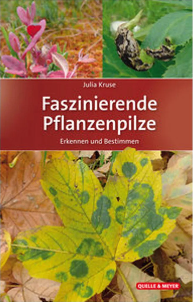 Champignons de Jardin Lumineux Faszinierende Pflanzenpilze Lot de 3