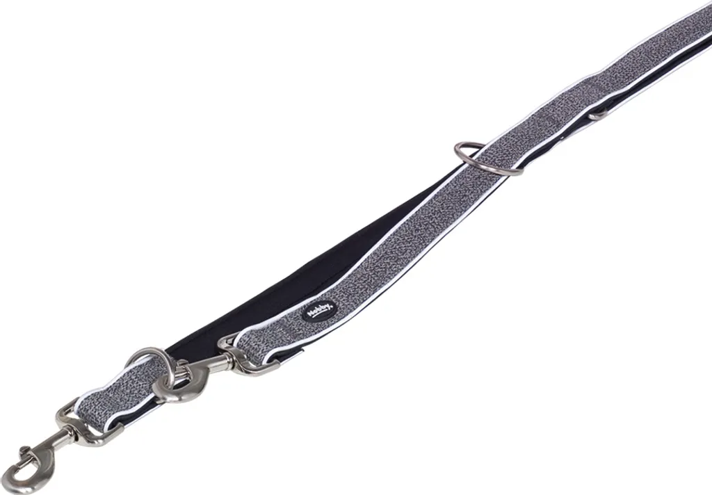 Nobby Laisse de présentation Cayo grise 200 cm réglable pour chien