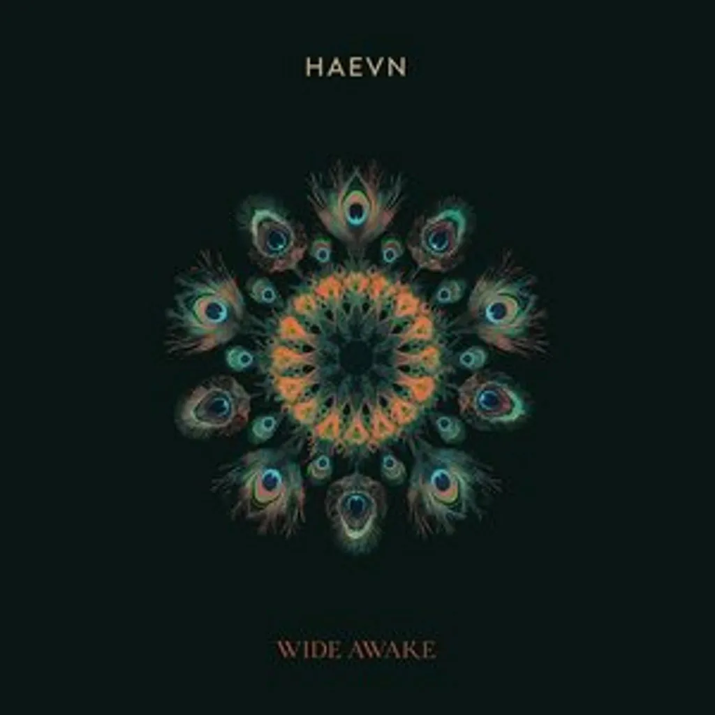 Wide Awake Digipak : Profitez enfin d'un son CD pur sans compression
