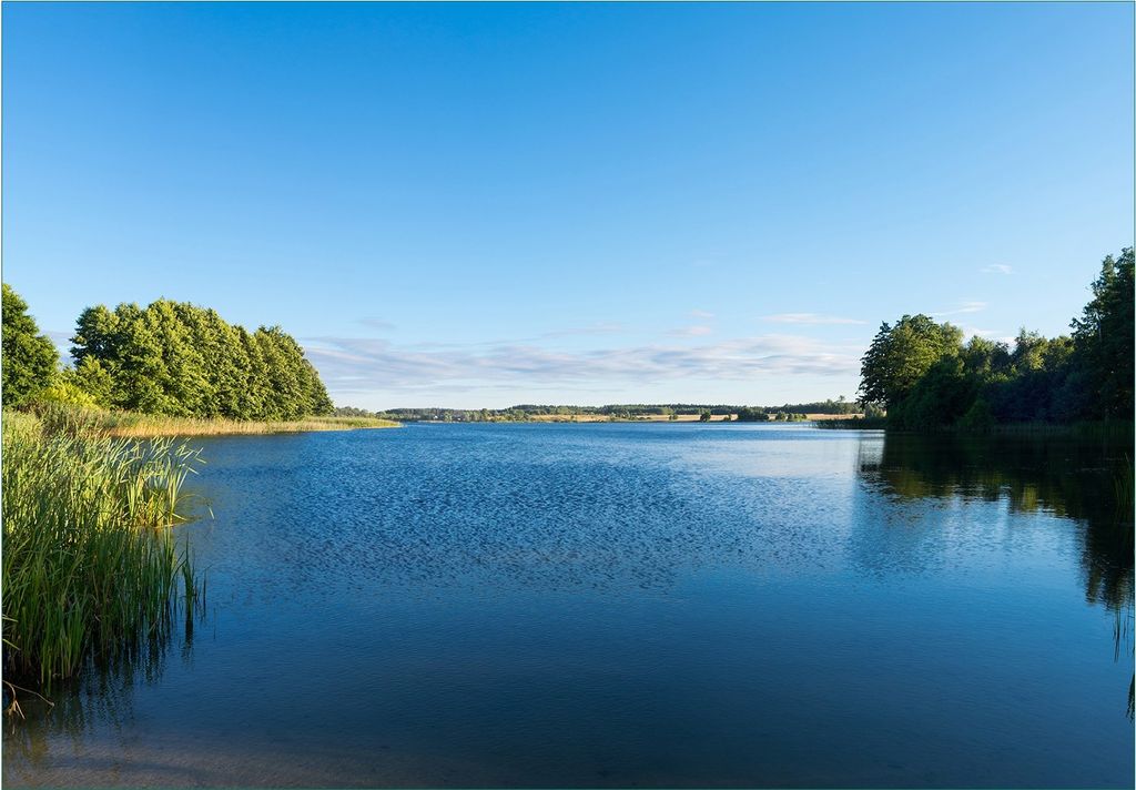 Wallario Fototapete Vliestapete, seidenmatte Oberfläche, einfache Verarbeitung, Größe 350 x 245 cm, Motiv Malerischer See mit Schilf unter blaue...