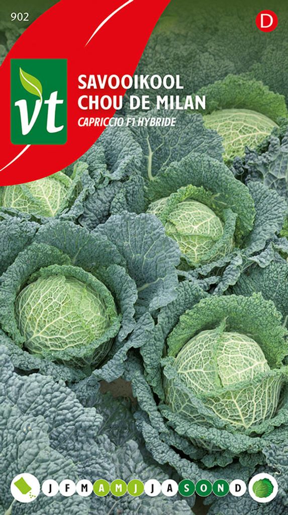 Wirsing Capriccio F1-Hybrid Spolu - cca 0,3 g | VT_902 Obrázok produktu 