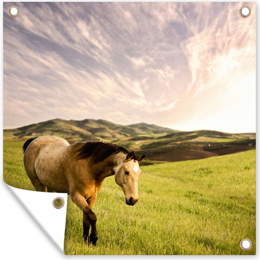 MuchoWow 100x100 cm Outdoor-Poster Gartendeko Sichtschutz Garten Poster für den Garten Tennessee-Wanderer auf einer Wiese