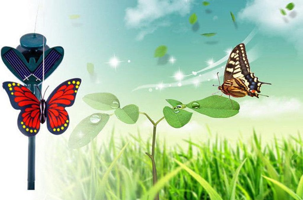 Papillon volant solaire Produktbild 