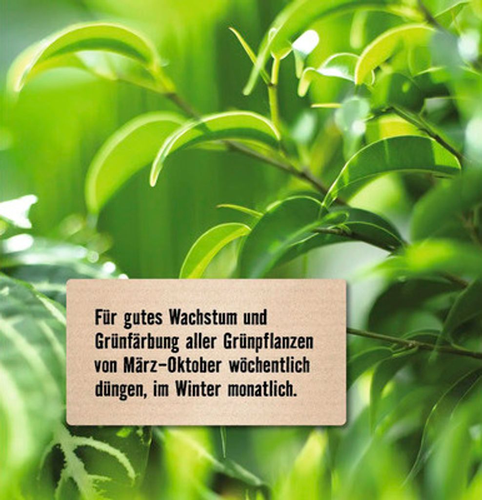 Grünpflanzendünger FloraSelf 1 L mineralischer Dünger