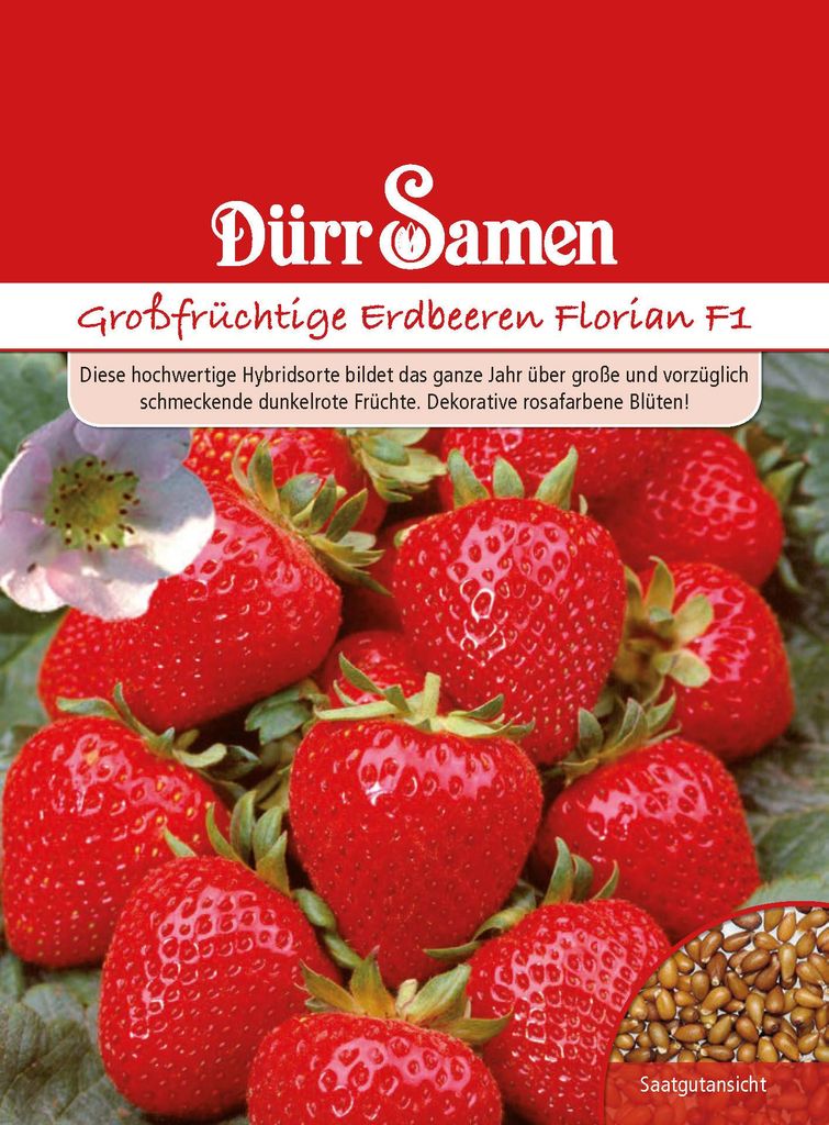 Dürr-Samen - Erdbeeren Florian F1 - Saatgut - 1004 Produktbild 