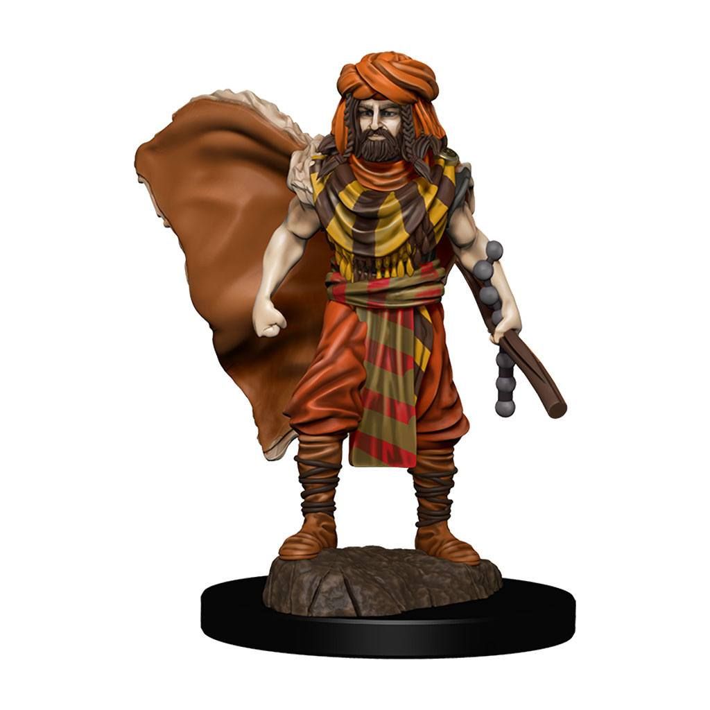 Dungeons & Dragons Icons of the Realms: Premium-bemalte Figur – Menschlicher Druide (männlich)
