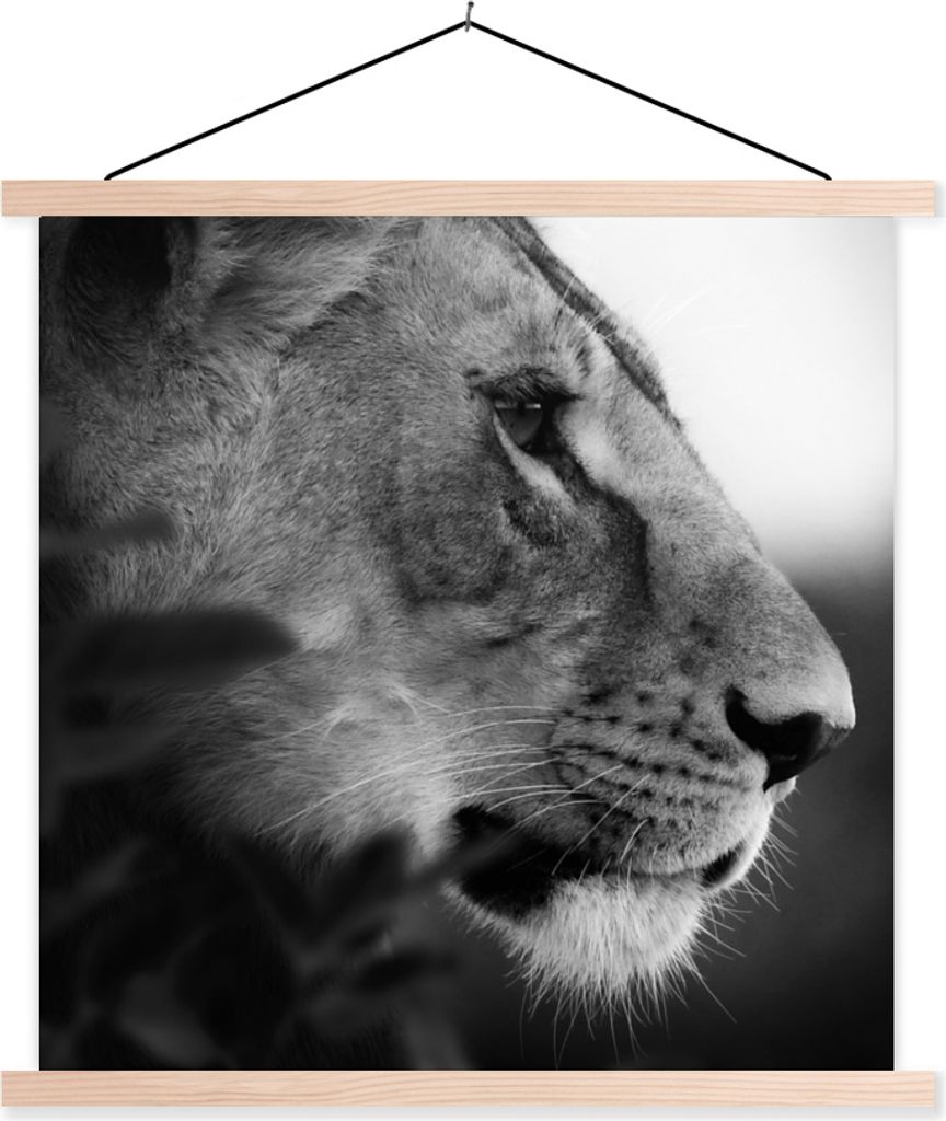MuchoWow Textilposter Löwe - Wilde Tiere - Dschungel - Schwarz - Weiß 40x40 cm mit holzfarbenen Rahmen - Posterleiste