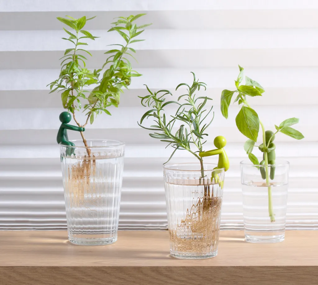 Leafriend Kit de 3 Supports de Culture pour Boutures par PELEG Design