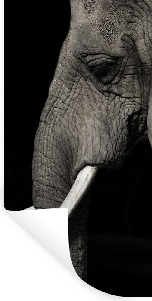 MuchoWow Wandtattoo Wandsticker Wandaufkleber Elefant - Tier - Stoßzahn 20x40 cm Selbstklebend und Repositionierbar - Selbstklebend - Fototapeten