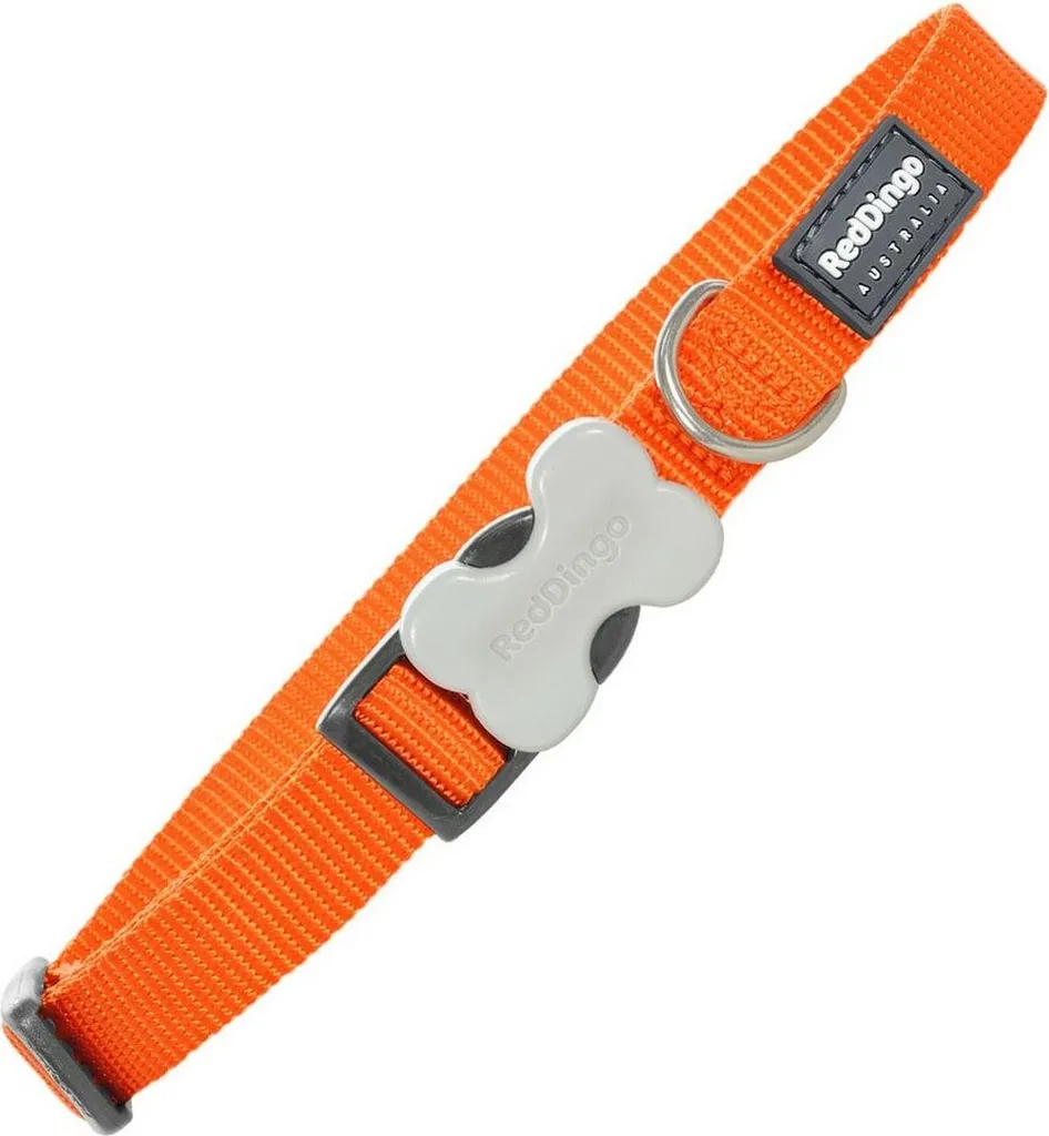 Red Dingo Collare Arancio 24-36cm | Comfort Dog Training Professionale