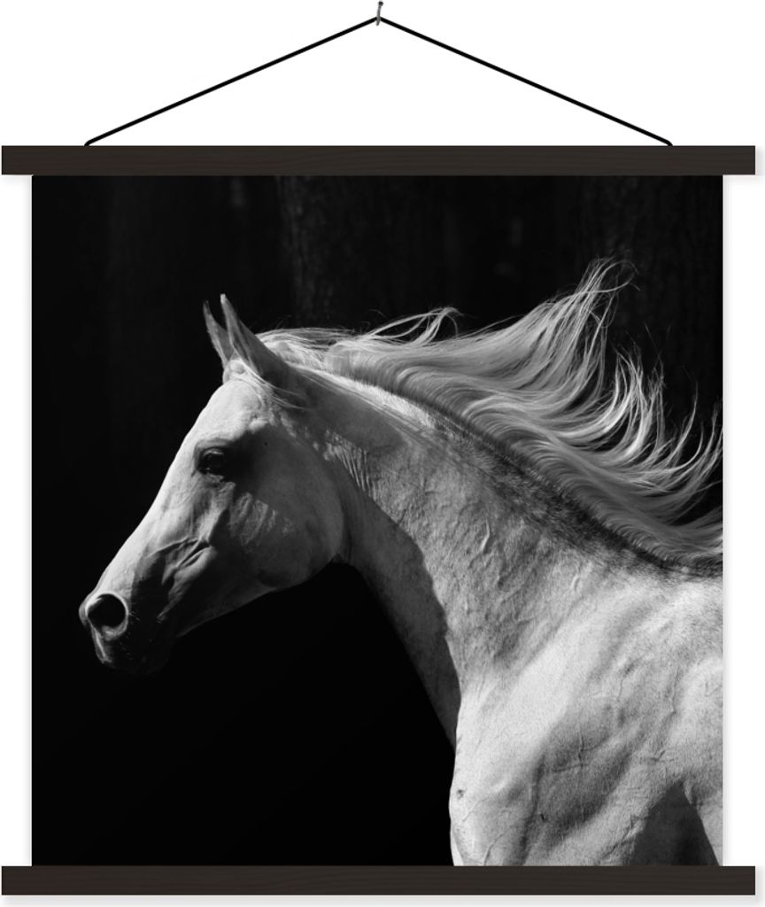MuchoWow Textilposter Pferde - Tiere - Porträt 60x60 cm mit schwarzem Rahmen - Posteraufhänger