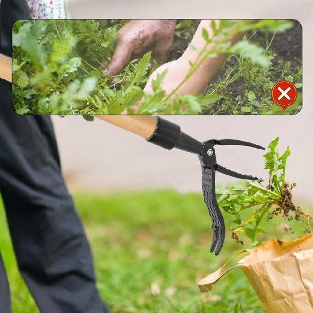 Désherbeur manuel ergonomique en acier pour jardin et pelouse de 30cm