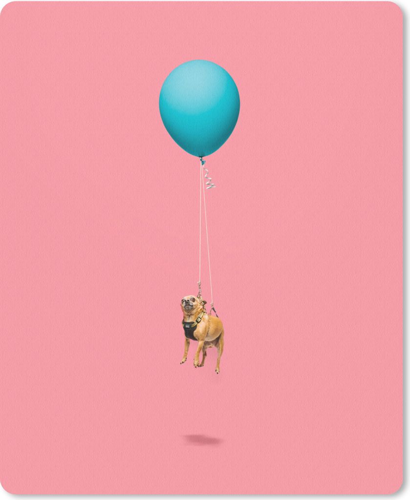 MuchoWow Mauspad Mousepad Chihuahua auf einem blauen Ballon 19x23 cm - Mousepads - Maus Mat - Pad - Mausunterlage - Mauspads - Spielen