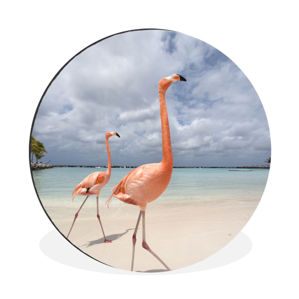 MuchoWow Aluminium Wandkreis Zwei stolze Flamingos spazieren am Strand Ø 60 cm Wanddeko Modern Wohnzimmer - Wand Kreis - Wandbild - Schlafzimmer...