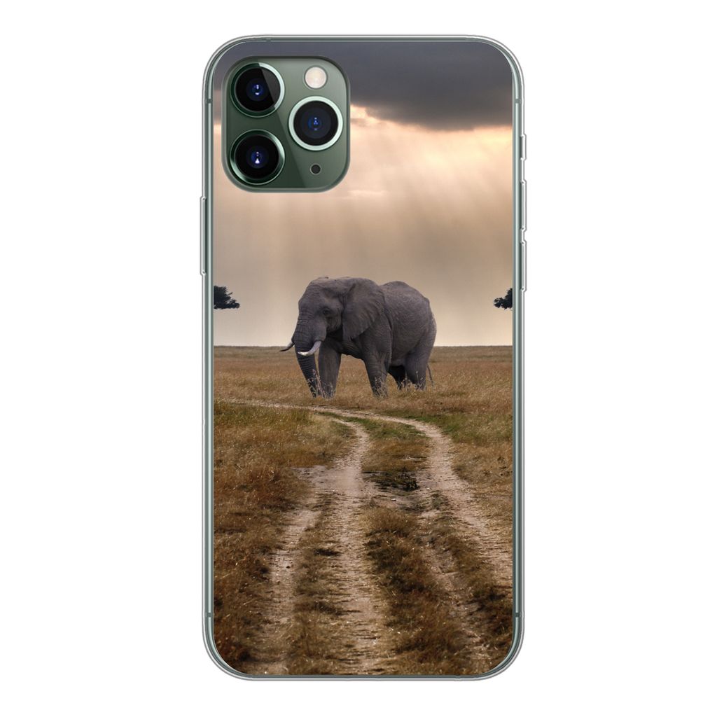 MuchoWow Handyhülle Schutzhülle Hülle für iPhone 11 Pro Elefant - Tiere - Wiese - Sonne Silikon Softcase Handy Hülle - Handy