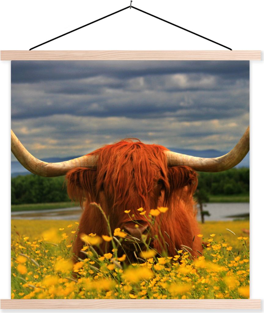 MuchoWow Textilposter Schottisches Hochlandrind - Tiere - Blumen 40x40 cm mit holzfarbenen Rahmen - Posterleiste