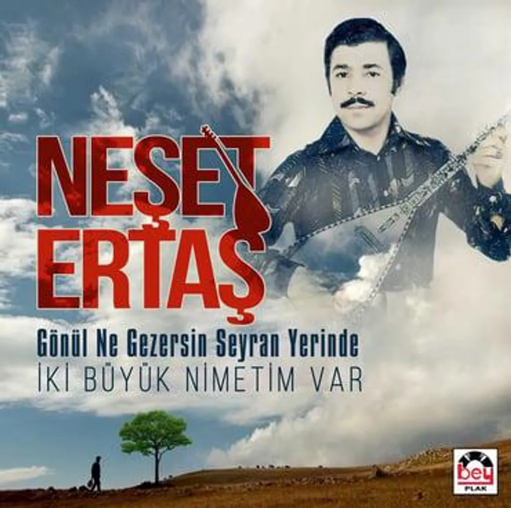 Disque Vinyle Gönül Ne Gezersin Neşet Ertaş Musique Traditionnelle LP