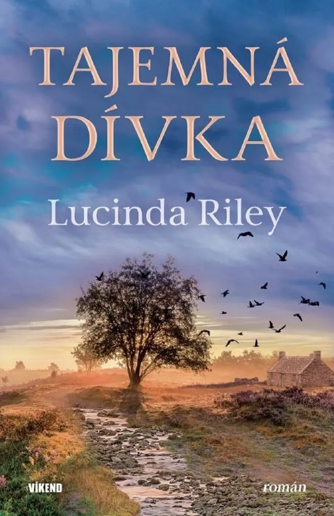 Tajemná dívka Lucinda Riley : mystère et secrets familiaux fascinants