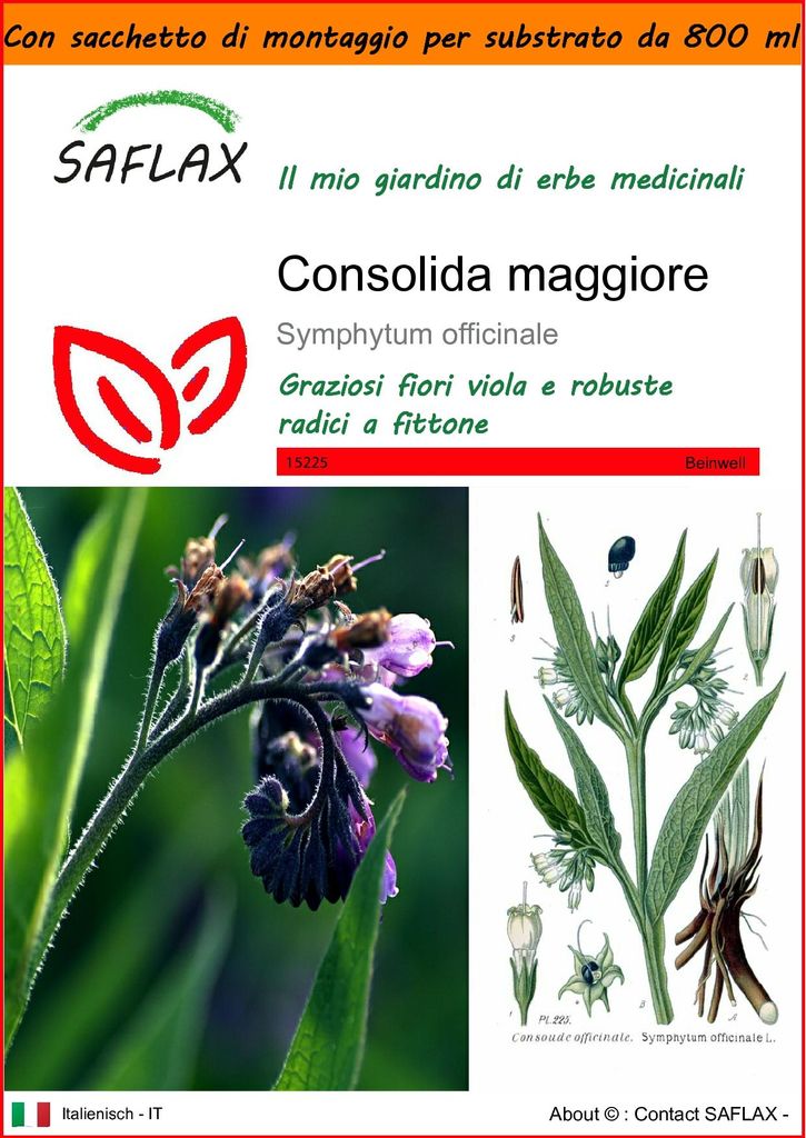 SAFLAX Garden in the bag - Consolida maggiore - 15 semi - Immagine del prodotto 