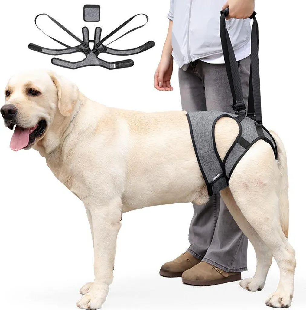 OFFERTA INF Imbracatura Cani Taglia L - Aiuto Mobilità Posteriore