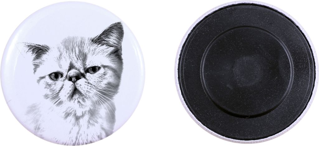 Exotisch Kurzhaar - Sammlung von einzigartigen Magneten, eigenes Foto, Marke Art-Dog