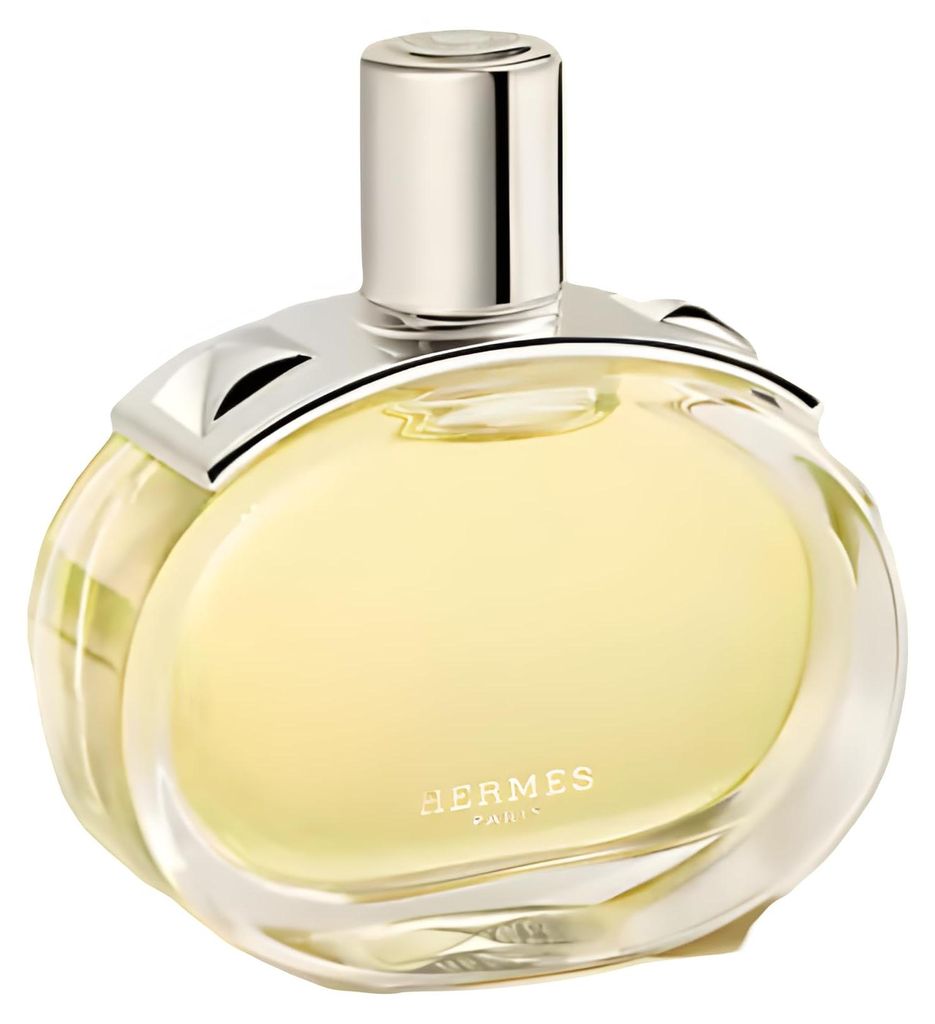 Hermes Barénia Intense, voor dames, 60 ml, navulflacon, eau Productafbeelding 
